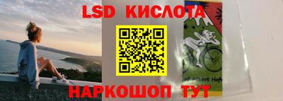 гидра Будённовск