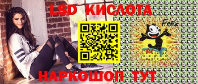 гидра Будённовск