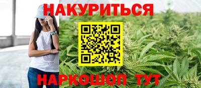 гидра Будённовск