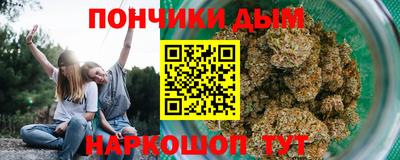 гидра Будённовск