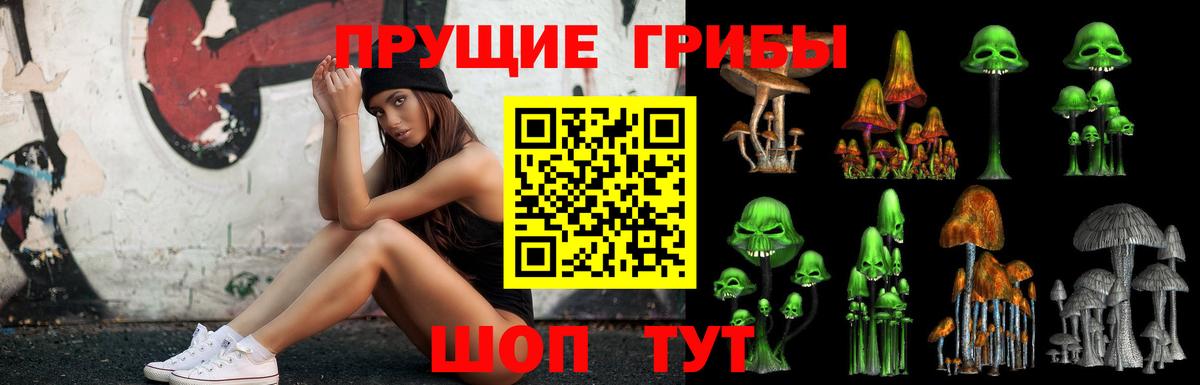 Топки  Галлюциногенные грибы прущие грибы  Псилоцибиновые грибы ЛСД  Вход с VPN 